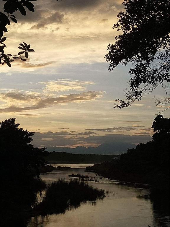 Unique Wild Resort Sauraha Exterior photo