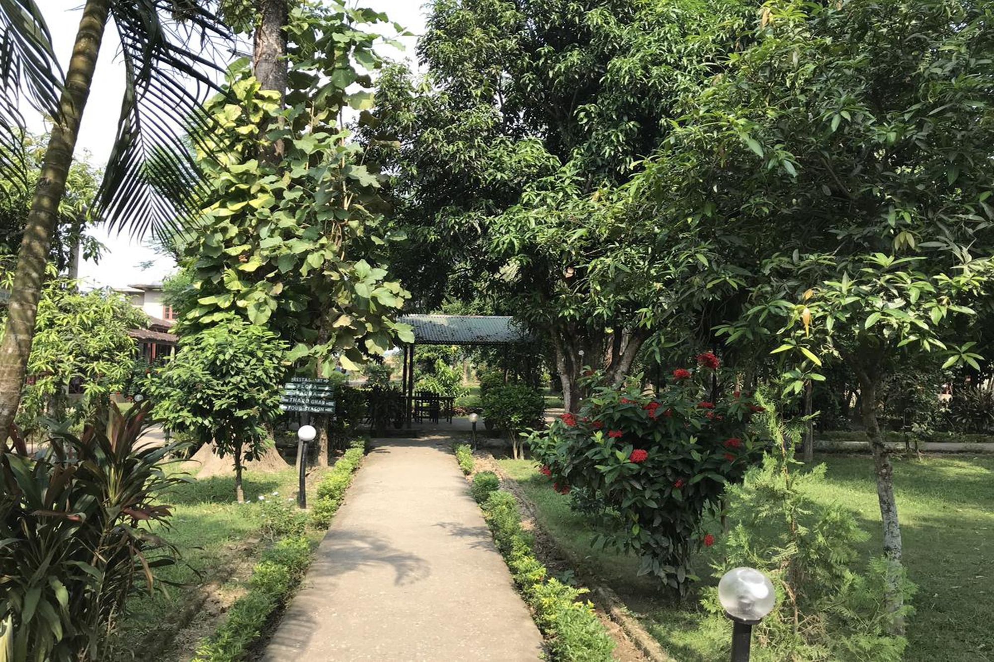 Unique Wild Resort Sauraha Exterior photo