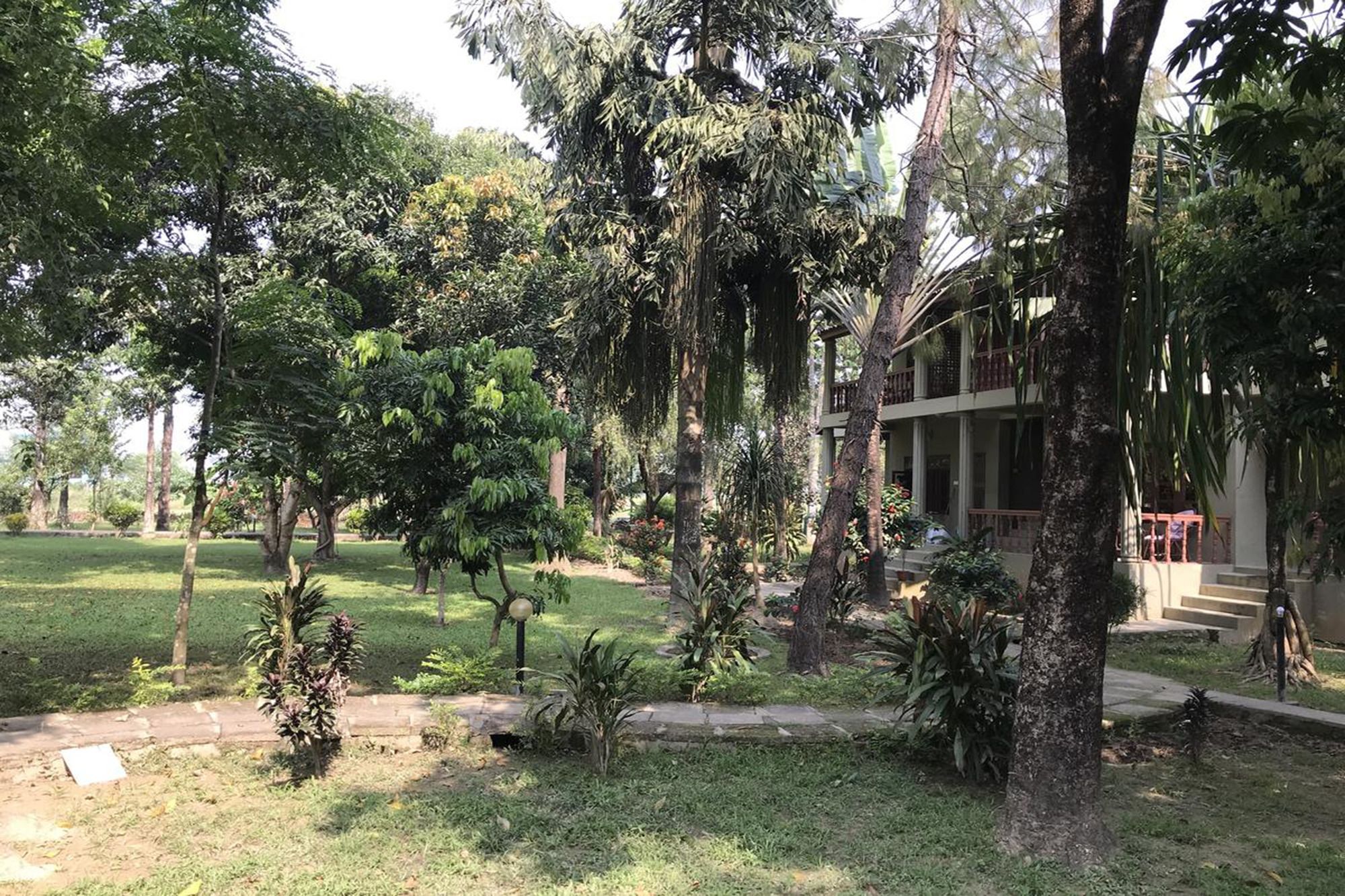 Unique Wild Resort Sauraha Exterior photo